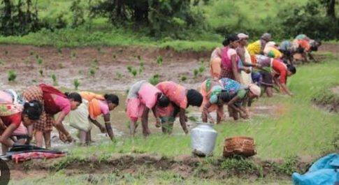 मोदी राज में ग्रामीण मज़दूरों की दुर्दशा