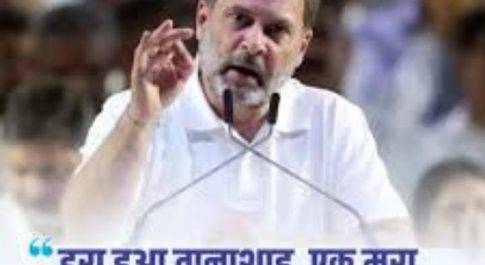 देखी तेरी तानाशाही!