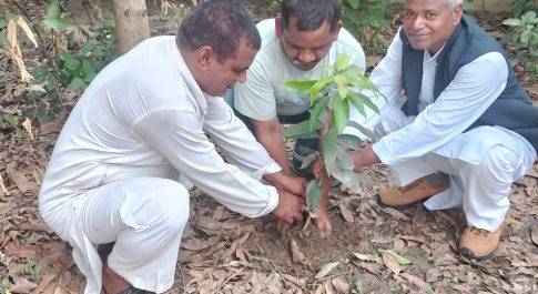 पेड़ पौधे धरती माता के धरोहर के साथ श्रृंगार भी: हरिश्चंद्र त्रिपाठी