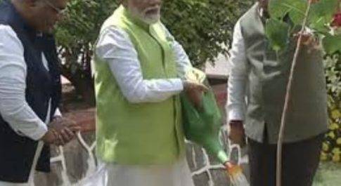 नान बायोलॉजिकल जी का पेड़ अभियान