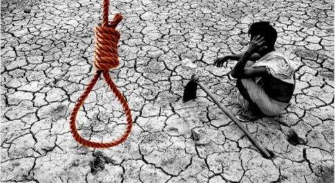 एमएसपी, ऋण माफी और फसल बीमा : क्या अपेक्षा है देश के किसानों की आगामी बजट से