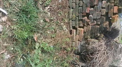 गावँ में सालों नही पहुँचता सफ़ाई कर्मी, चहुँओर फैली गन्दगी