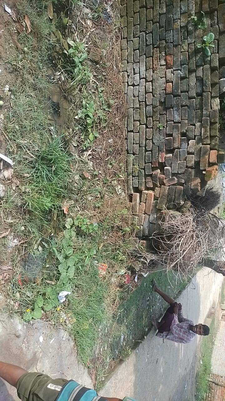 गावँ में सालों नही पहुँचता सफ़ाई कर्मी, चहुँओर फैली गन्दगी