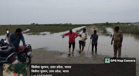 बीती रात उपद्रवी भेड़िया द्वारा कारित घटना रही शून्य: डीएफओ