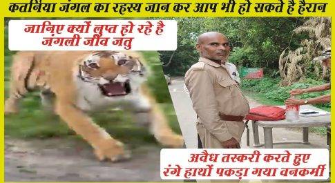 कतर्निया जंगल का रहस्य ।। क्यों सक्रिय है नेपाली अपराधी ? ।। क्यों लुप्त हो रहे है जंगली जीव जंतु ?