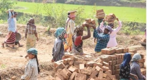 भारत में कृषि संकट और खेत मज़दूरों की बदलती प्रकृति